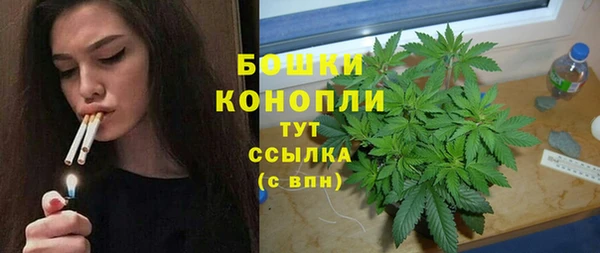 молекула духа Белокуриха