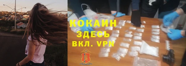 молекула духа Белокуриха