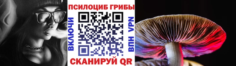 Псилоцибиновые грибы Cubensis  OMG ТОР  Павловск 